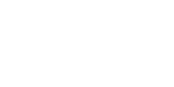 IDA Voice Logo